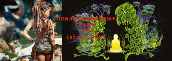 гидра Алзамай